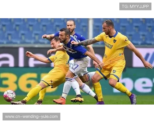 弗罗西诺内俱乐部新赛季阵容调整与战术变革引发球迷广泛关注